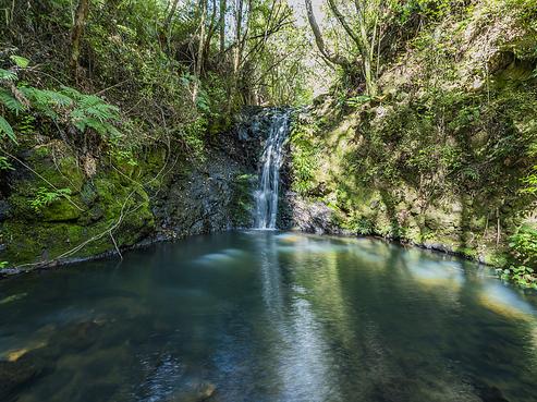 363 Mill Creek Road, Kaimarama