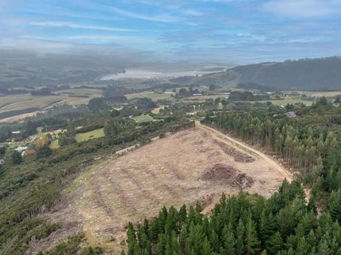 765 Blueskin Road, Mount Cargill