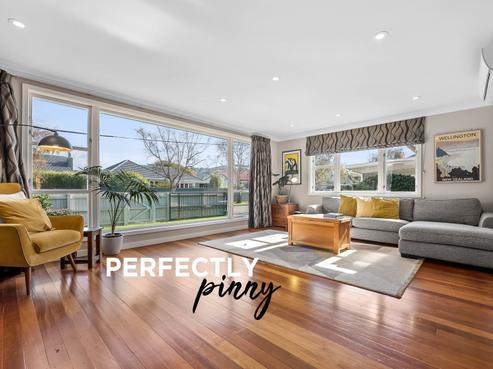 42 Pinny Avenue, Epuni