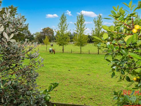 50 Draffin Road, Poroti