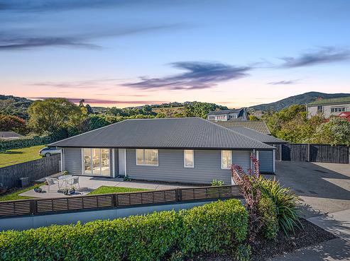 249 Annesbrook Drive, Wakatu