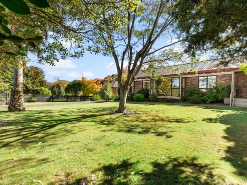 19 Birch Road, Pukekohe
