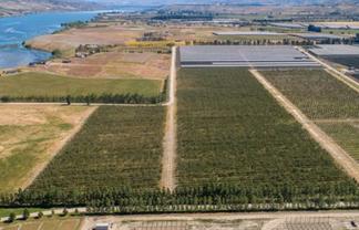  31 Gilmore Road, Cromwell