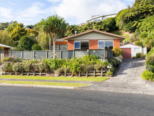 17 Heaphy Street, Westown