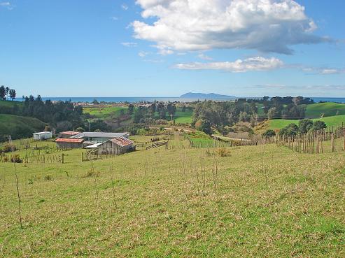 62 Fergus Road, Waihi Beach