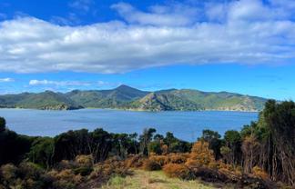 624 Blind Bay Road, Great Barrier Island