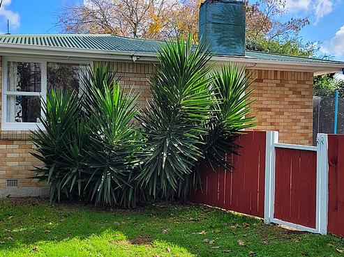 45 Ward Street, Waharoa