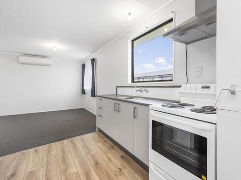 115B Nixon Street, Hamilton East