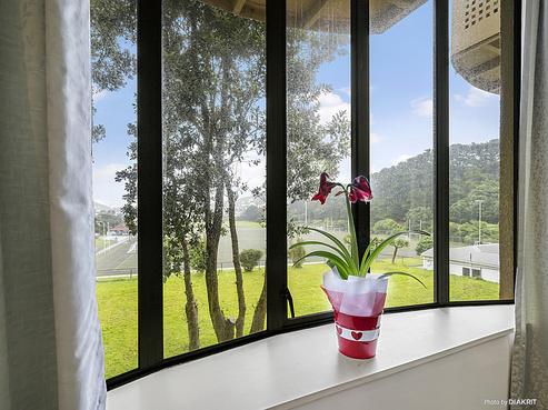 566K Adelaide Road, Berhampore