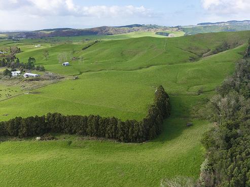 160 McWatt Road, Waitakaruru