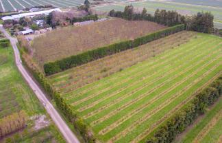  Hoggs Road, Manakau, Levin