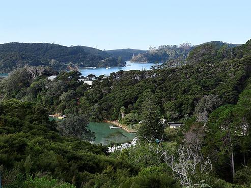 4 Wilson Avenue, Kawau Island