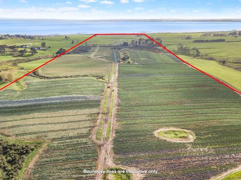 55 Harkness Road, Karaka
