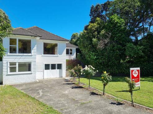 81 Amohia Street, Paraparaumu