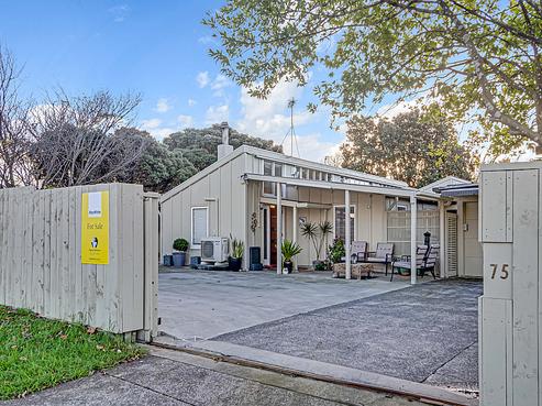 75 Elliot Street, Pahurehure