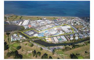 BIG Options in Petone.- 476 Jackson Street.