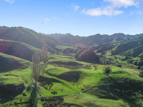 5896 State Highway 4, Waimiha-Ongarue
