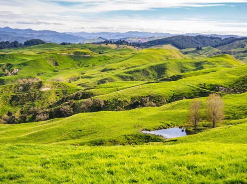 2613 Cricklewood Road, Wairoa Country