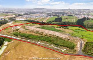 29 Annmarie Avenue, Flat Bush