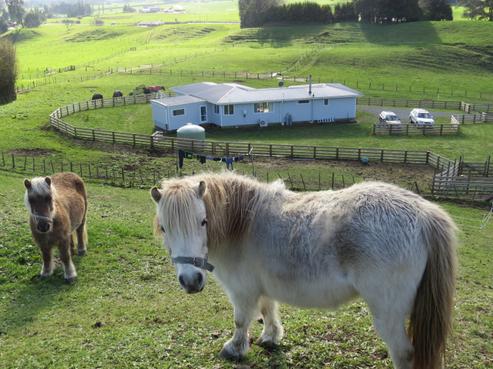 60B Newell Road, Tokoroa