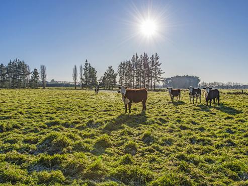 12 Bramleys Road, Kaiapoi