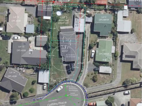 3 Griffiths Place, Claudelands