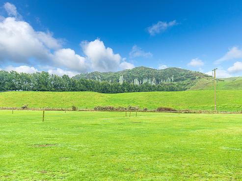 983 Oreipunga Road, Pukeatua