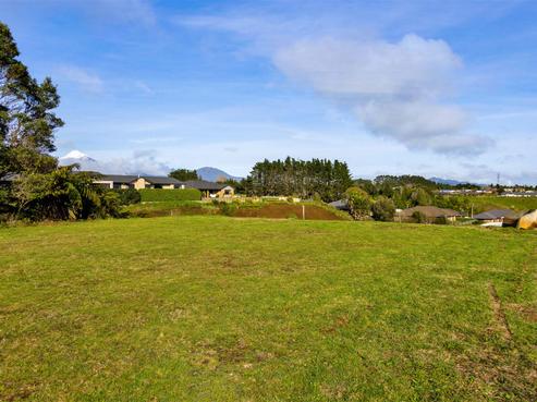 8A Highfield Place, Highlands Park