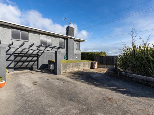 265E Tukapa Street, Hurdon