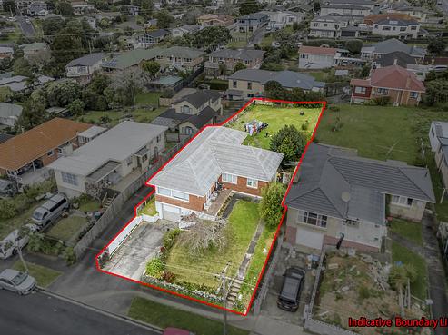 3 Locke Avenue, Mount Roskill