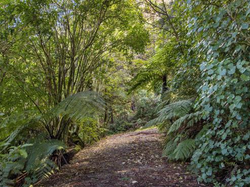 243 Landlyst Road, Waihi