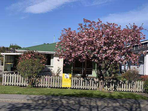17 Centennial Avenue, Balclutha