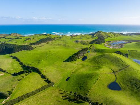 386 Rehutai Road, Dargaville Surrounds