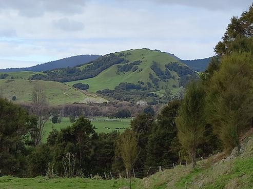 141 Puhunga Road, Tokomaru Bay