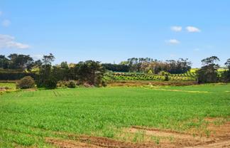 Lot 3/230 Wright Road, Waiau Pa