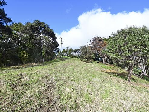 99 Birdsall Road, Whangateau