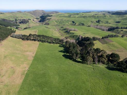 1496 Babylon Coast Road, Dargaville Surrounds