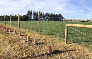 Lot 2 - 48 Woodlands Morton Mains Road, Woodlands