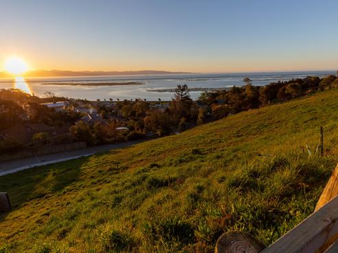 3 Chamerion Way, Atawhai