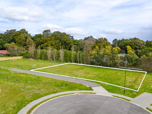 45 Orchard Road, Greytown