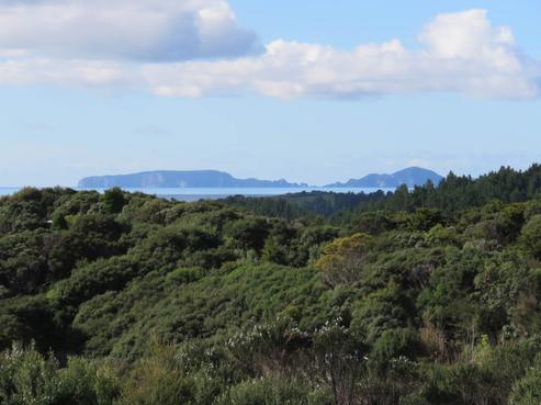161A Clements Road, Matapouri