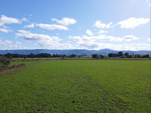 77068 State Highway 2, Dannevirke
