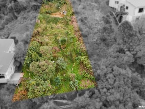 156 Raroa Road, Aro Valley
