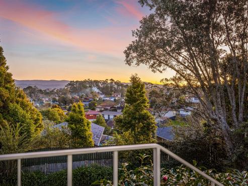 19 Skyla Place, Massey