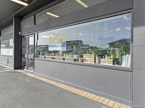 21E Maida Vale Road, Roseneath