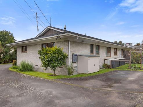 15 Nikau Street, Springfield