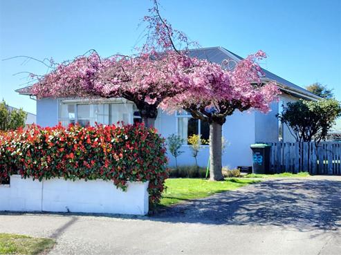 23 Newman Street, Waimataitai