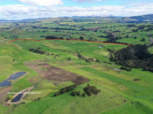 651 Huiarangi Road, Hastings Country