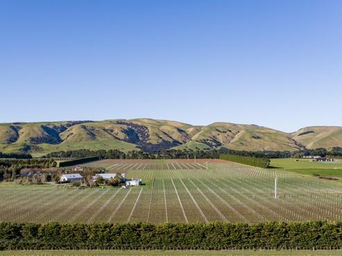 301 Te Muna Road, Martinborough