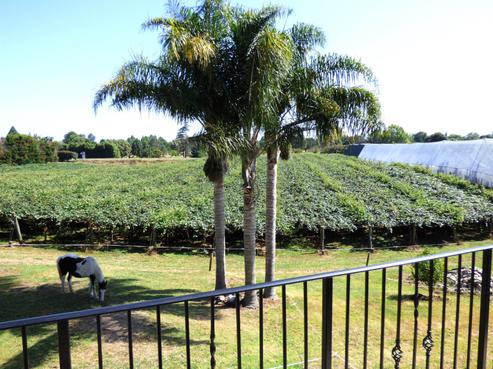 824 State Highway 2, Paengaroa